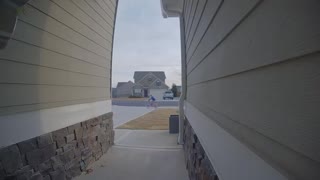 Ding Dong Ditcher Licks Doorbell Camera