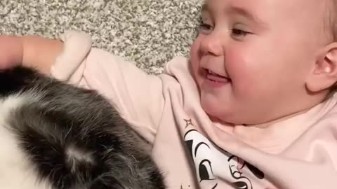 Funny pets having Priceless moments with cats&kittens, Dogs, Animals