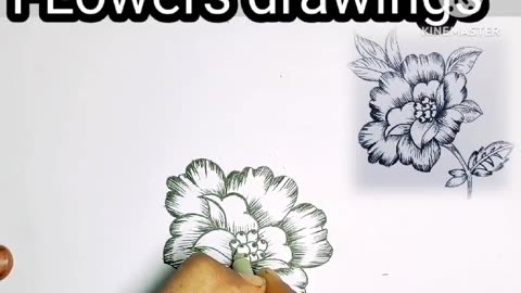 Flowers drawing