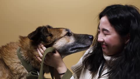 Close Up Of a Dog Licking a women