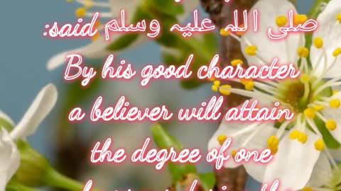 Hadith by Prophet Muhammad pubh | vibesofislam