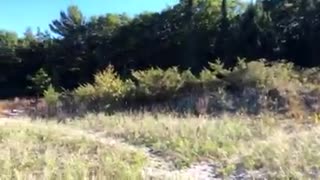 Floatplane on a deserted island