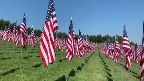 Flags of Valor display on Art Hill