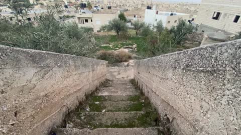 The old houses in Palestine