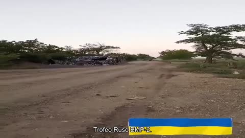 ️Trofeo Ruso BMP-2.