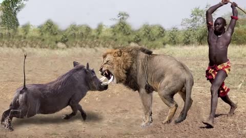 OMG! Mother Warthog Chew Lion’s Head To Save Her Baby Lion vs Warthog, Rhino, Elephant