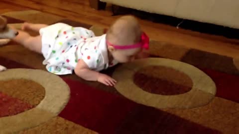 baby learns to crawl with dog.