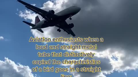 Aviation enthusiasts when