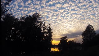 Sunset in the Swamp