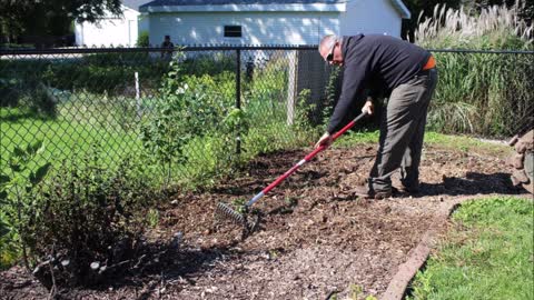 Elite Stump Grinding, LLC - (920) 260-3858