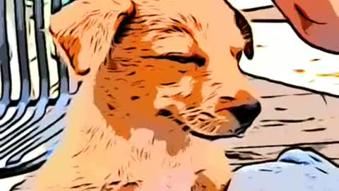 My Cute Dog Animation. #shorts #puppy #animation #cartoon