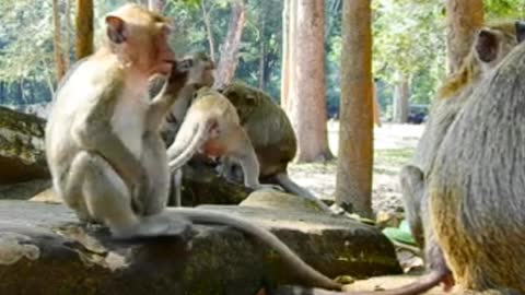 Some sticks of Usman spending time having fun with his family