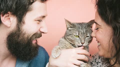 Do You Love Your Cat? The Top 15 Indices Your Cat Loves You Above All Else!