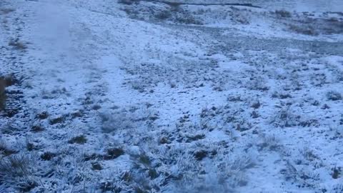 Hollingworth Lake to Windy Hill Hike