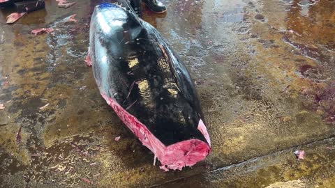 Amazing huge bluefin cutting skills 4of8