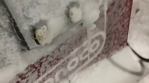 Frigid Weather Freezes Gas Pump