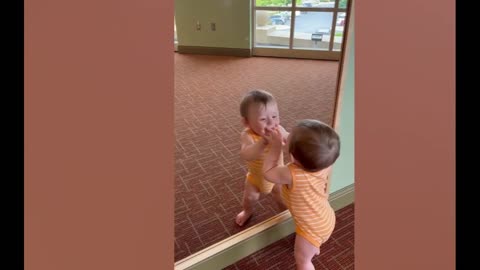 Who Are You? Funniest Baby Look At The Mirror Compilation || Funny Moment