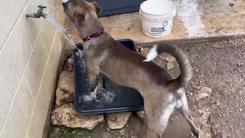 S’mores loves the water