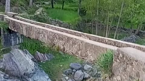 A little bridge made for water passing to fields