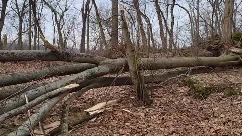 Glamping Clear Spring Maryland Timber Valley Retreat