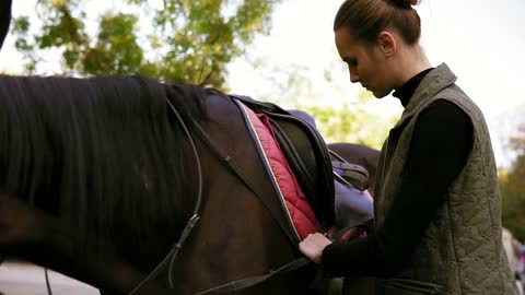 Young beautiful female rider puts a saddle on her horse and prepares animal for dressage