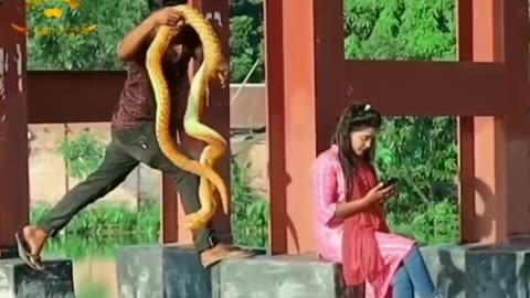 Fake king cobra prank