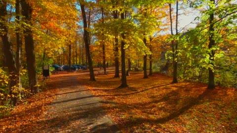 Autumn in Rural America Best Fall Foliage in the World