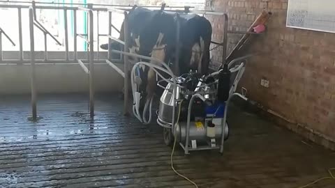 Milking machine