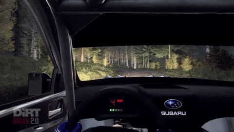 Rally view of crash , Dirt Rally 2.0 VPS Sezon 5 JAMSA PASKURI FIN