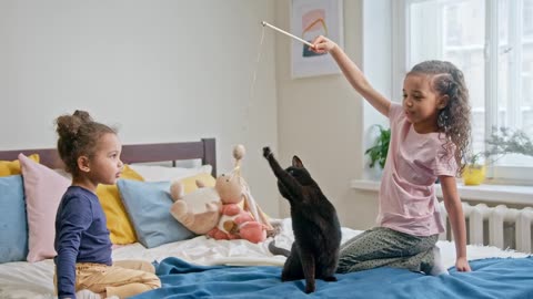 Kids Playing Catch The Bait With Their Cat