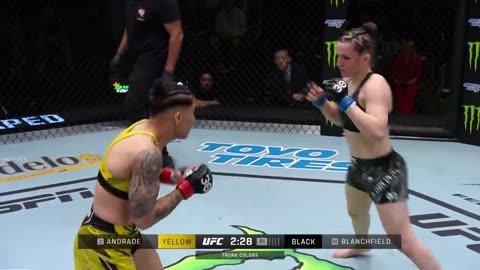 Erin Blanchfield vs Jessica Andrade - FREE FIGHT - UFC Singapore