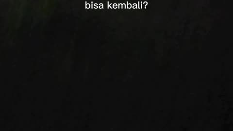 Kata kata hari ini