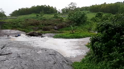 WaterFlow from Checkdam