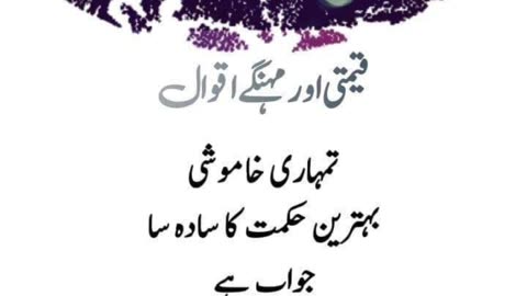 Most beautiful urdu Quotes Qeemti Aqwal #urduquotes