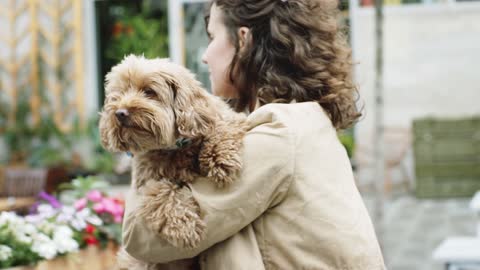 Woman Walking Down The Street With Her Dog