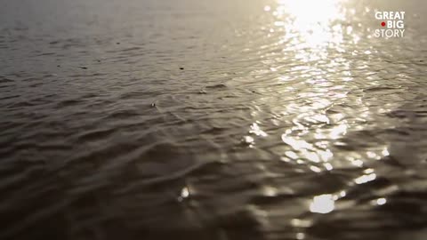 Surfing the Amazon River’s Endless Wave