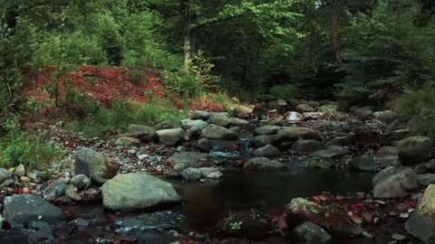 4K Beautiful Landscapes Stock Video Footage Natural Places around the world