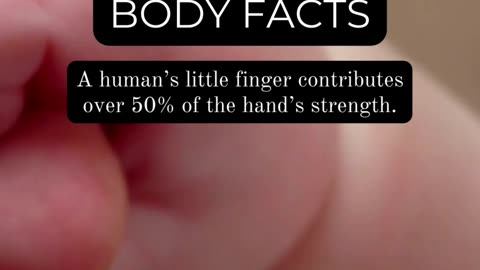 The Wonders of Human Anatomy: Captivating Facts