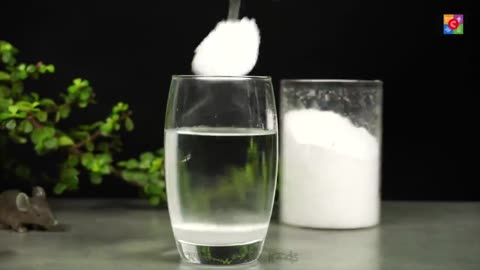 7 EASY SCIENCE EXPERIMENTS WITH SALT /SALT TRICKS