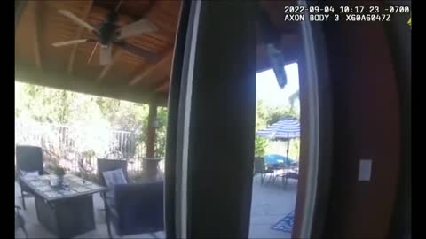 Cops chase CURIOUS BLACK BEAR away from kitchen