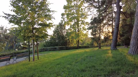 4K Botanical Garden at Lake Constance in Überlingen - Walking Tour