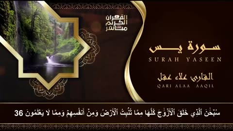 سورة يس، الرحمن، الواقعة، الملك استمع بنية الرزق والبركة وتيسير الأمور تلاوة هادئة Quran Recitation