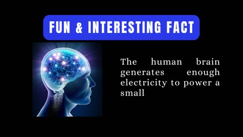 The Human Brain Can Generate...