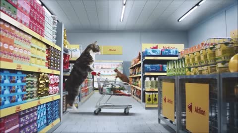 Cat Supermarket! (2016)