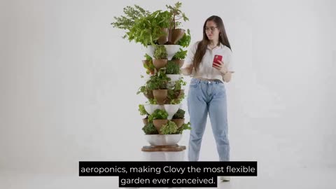 Clovy: Learn to Grow Food With This Smart Vertical Garden 🪴