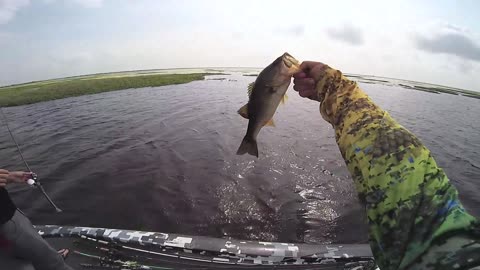 Epic Day Bass Fishing - 16 Fish by Noon