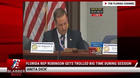 Florida Rep Robinson Gets Trolled BIG TIME During Session