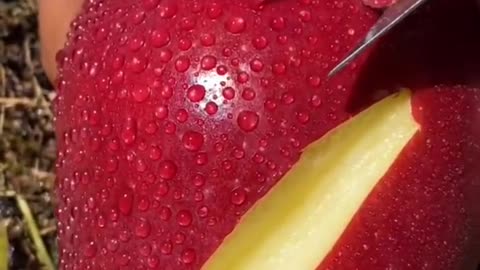 Amazing fruit cut