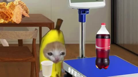 Banana cat 0 calories