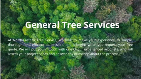 North Eastern Tree Service